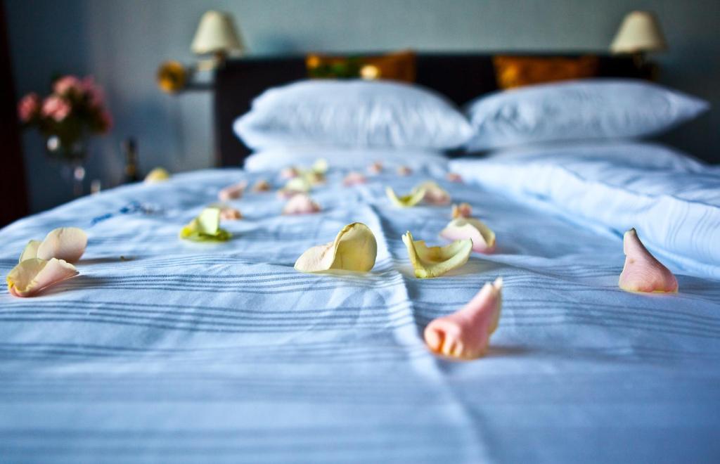 Shuma Hotel Dabrowa Gornicza